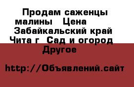 Продам саженцы малины › Цена ­ 150 - Забайкальский край, Чита г. Сад и огород » Другое   